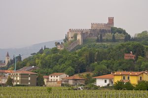 photo of Soave And Tuscany Italy