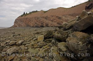 photo of Joggins Bay Of Fundy Fossil Discovery Nova Scotia
