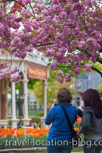 photo of Spring In Niagara On The Lake Ontario Canada