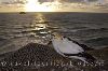 photo of West Coast Surf Beaches And Gannet Colony