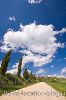 photo of Tuscan Road Picture Pienza Italy